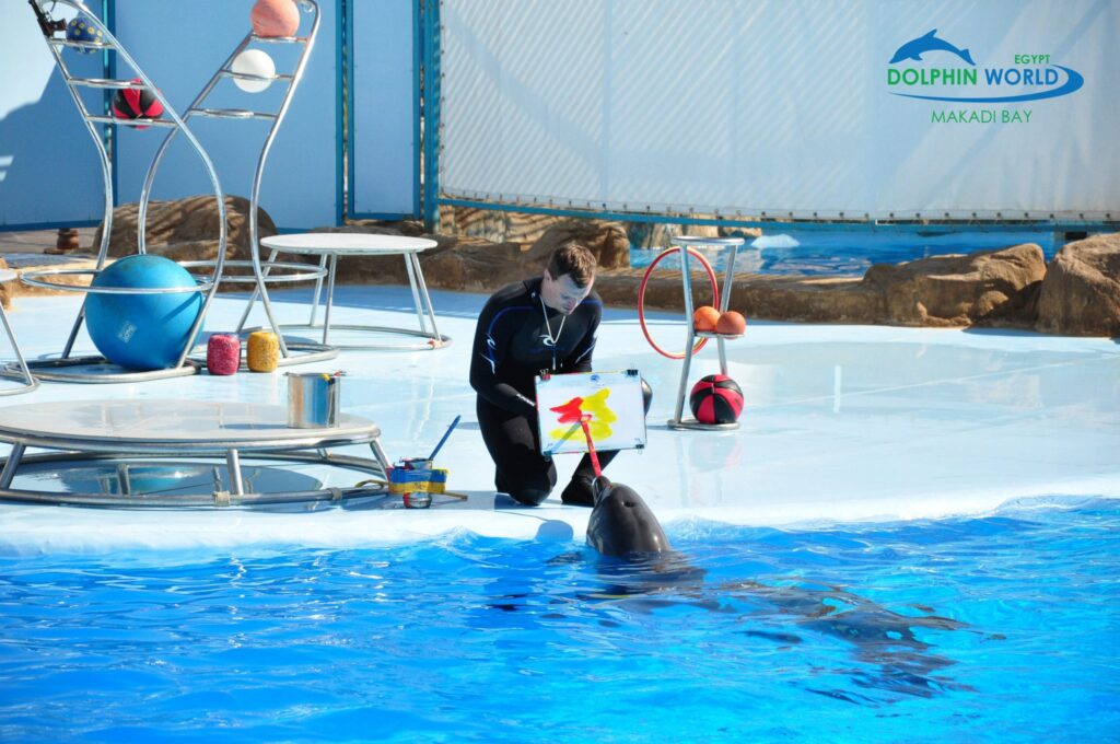 498123347_3689828267828403_7024509350333790908_n