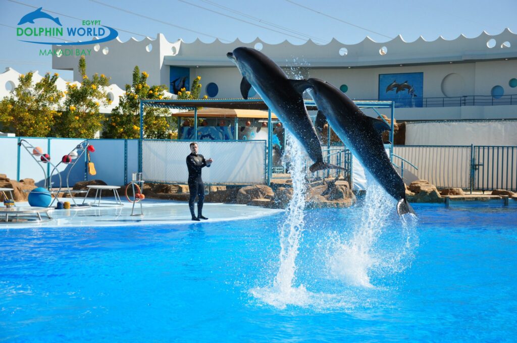 498923996_3689828337828396_4766159579308754299_n