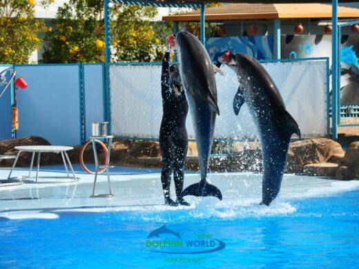 499469793_3689828324495064_157642543213112741_n