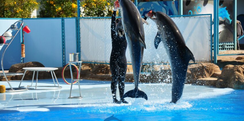 499469793_3689828324495064_157642543213112741_n