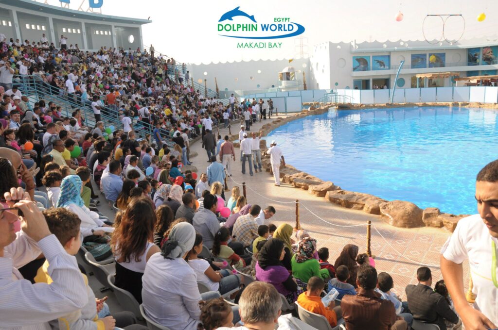 499634799_3689828287828401_2101454994672994578_n