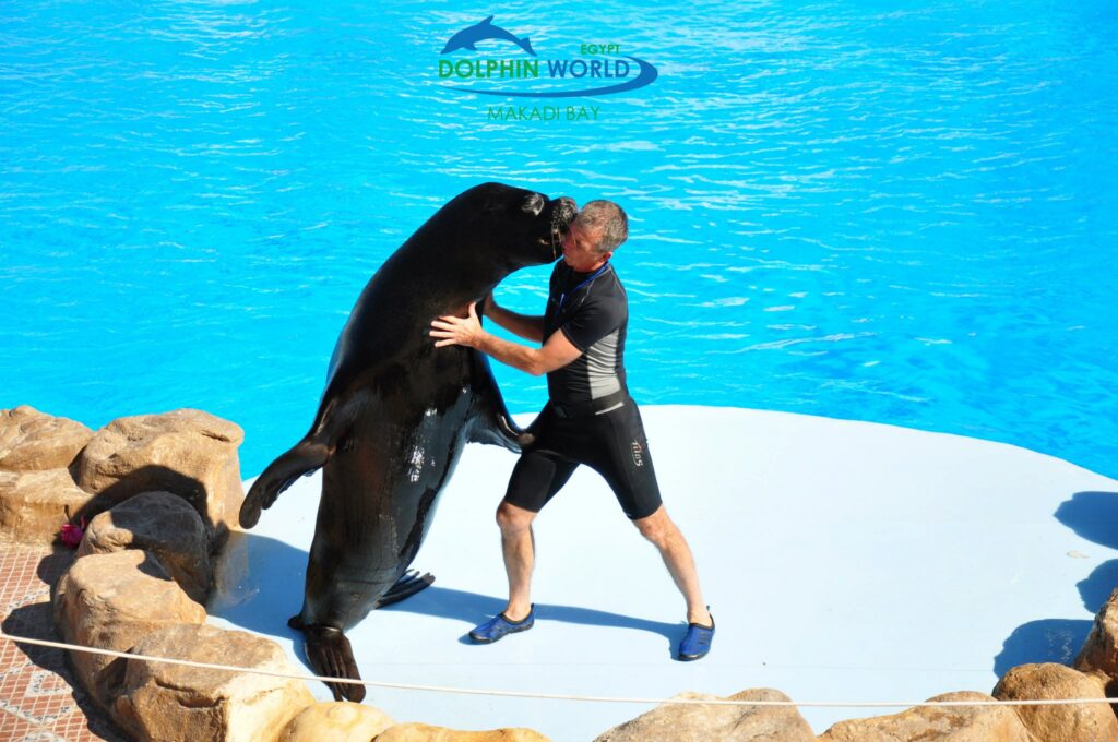 499634799_3689828287828401_2101454994672994578_n.jpg1