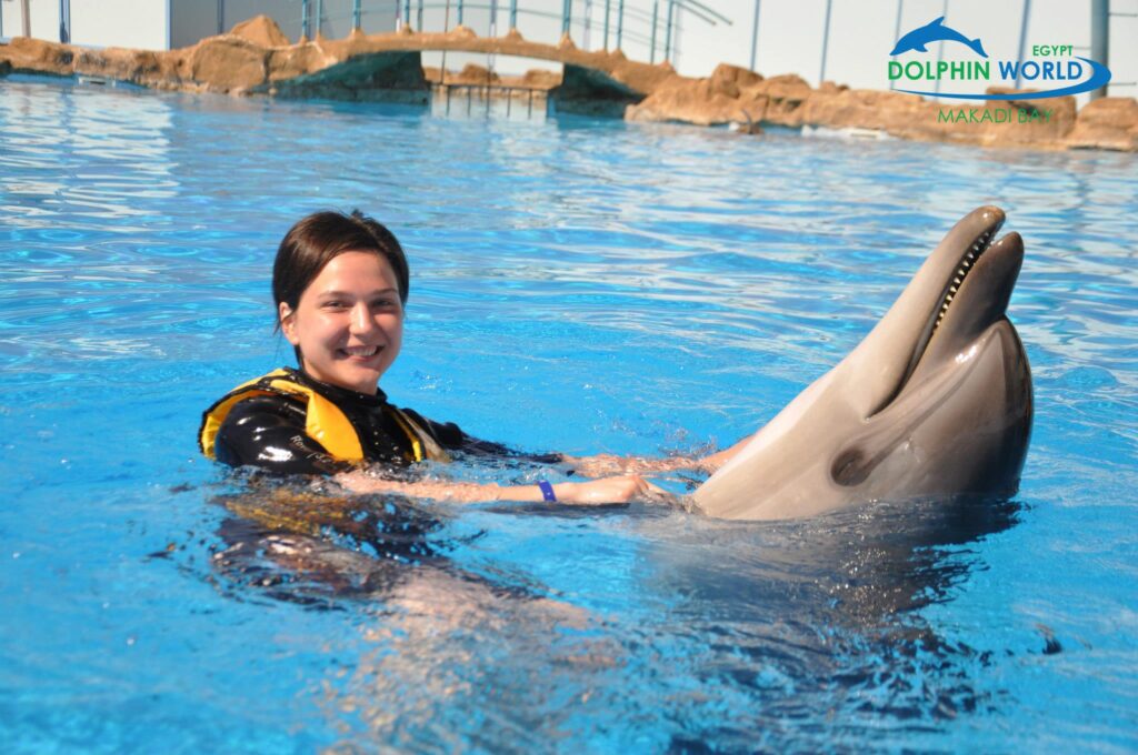 499828063_3689828317828398_4682384207989678308_n