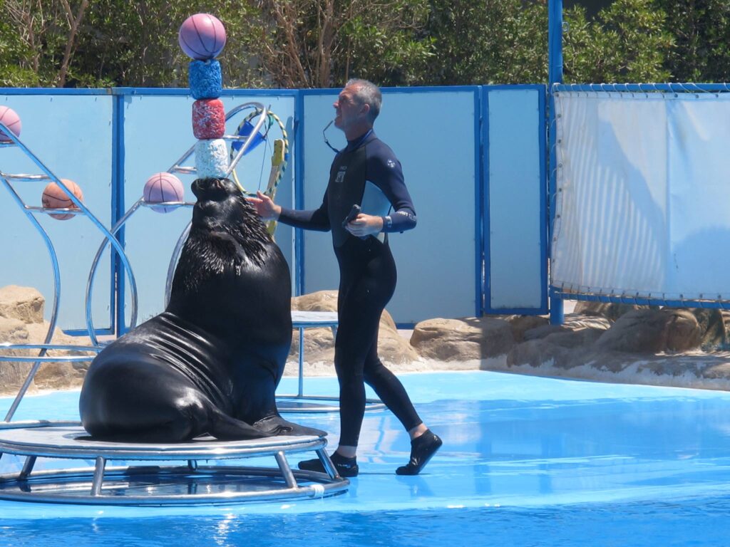 504736837_3712518025559427_5886403554986433251_n