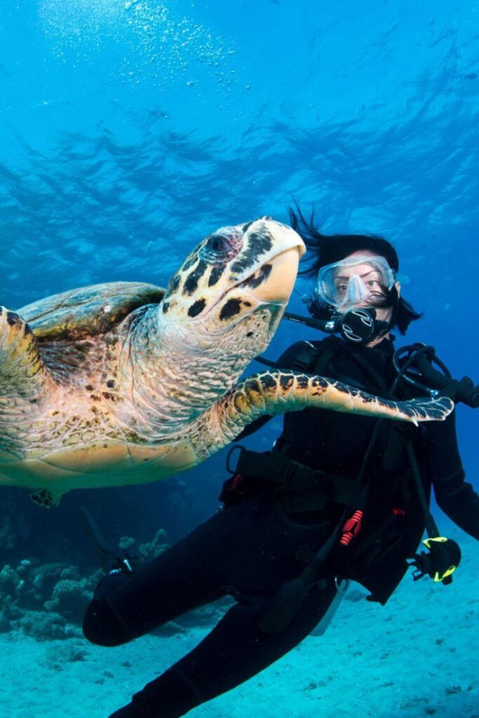 9576d71735bf9dcd30ad7e1bee7d9ea1