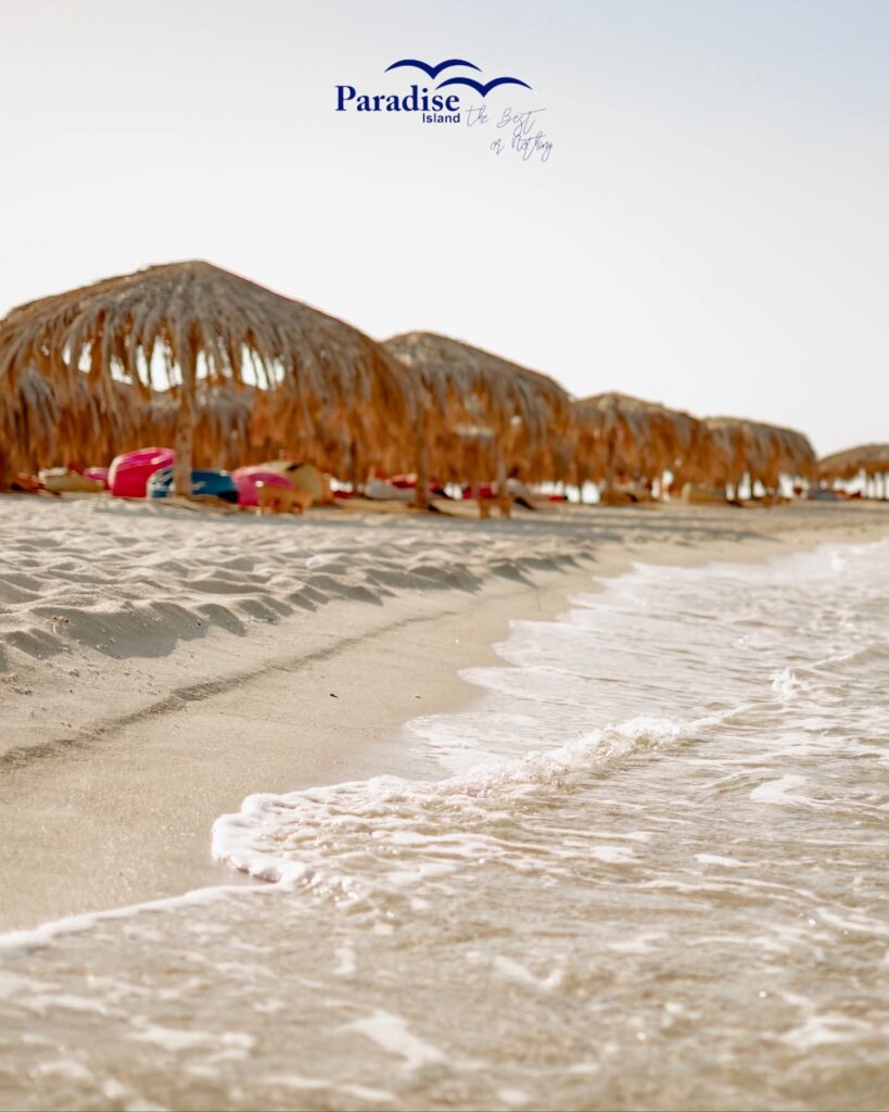 FB_IMG_1762823063076