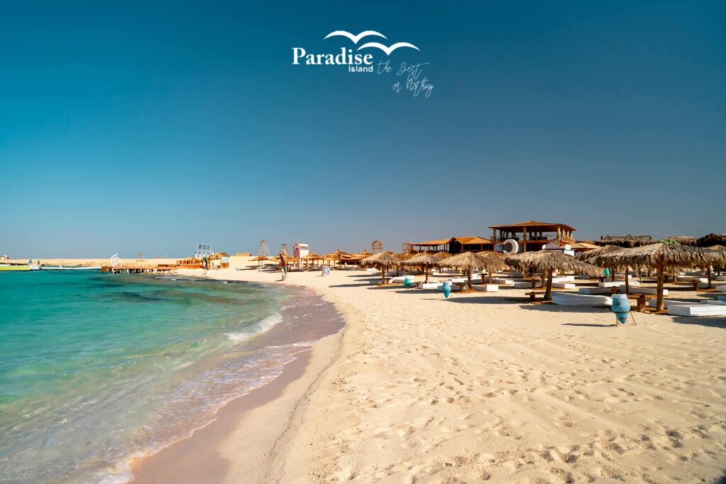 FB_IMG_1762823125523