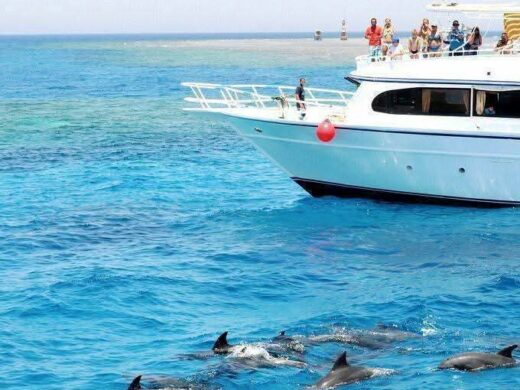 FB_IMG_1763237180444