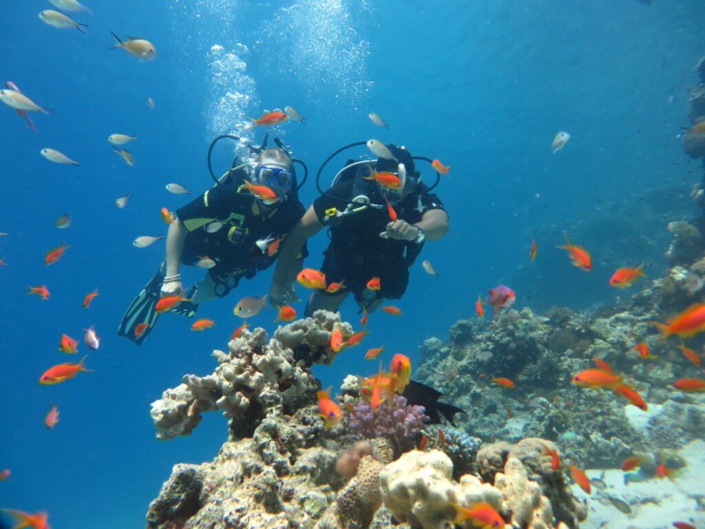 FB_IMG_1763242949286