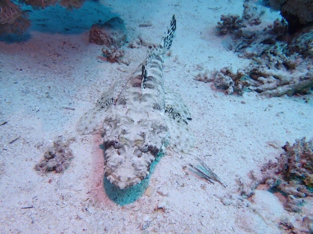 FB_IMG_1763242955169