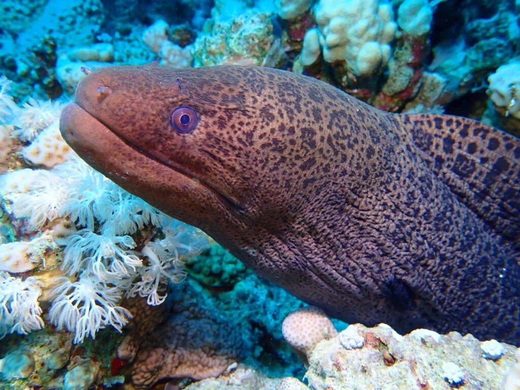 FB_IMG_1763242965904