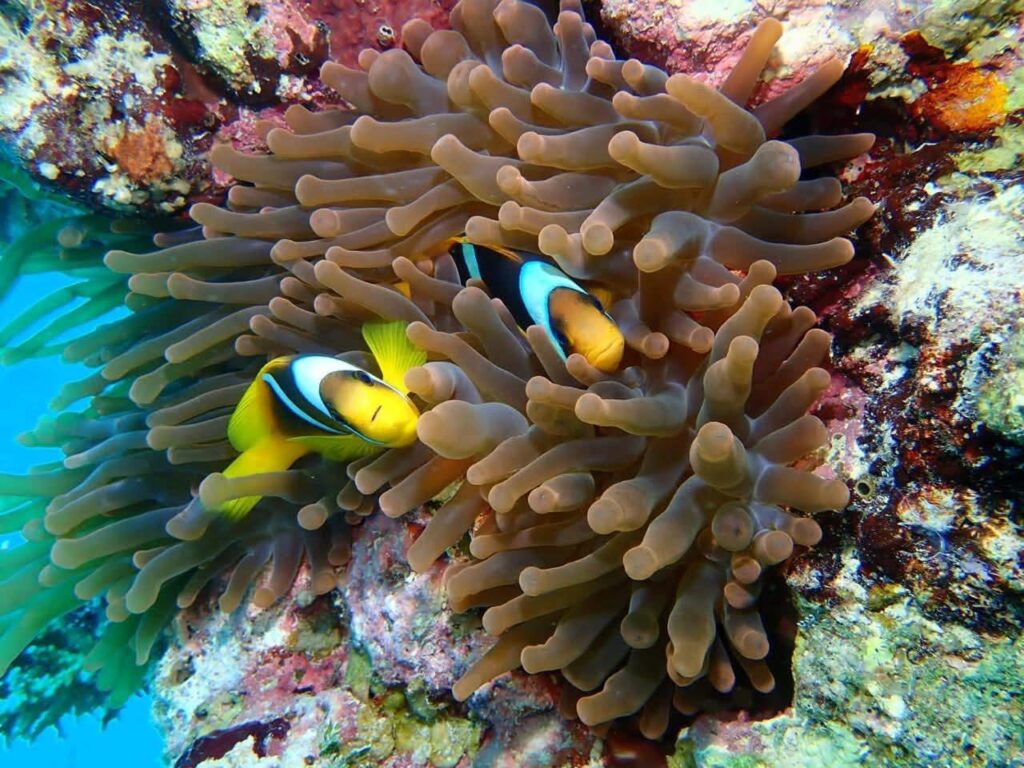 FB_IMG_1763242969848