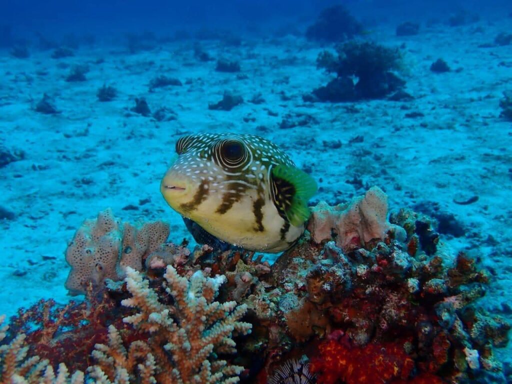 FB_IMG_1763242973350