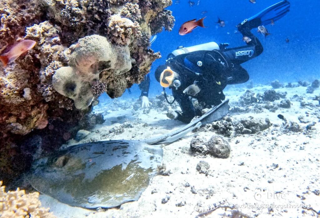 FB_IMG_1763242995124