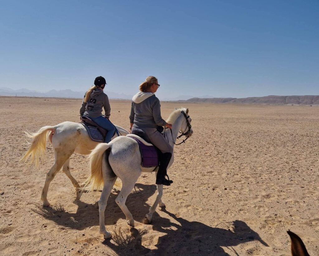 FB_IMG_1774182953587