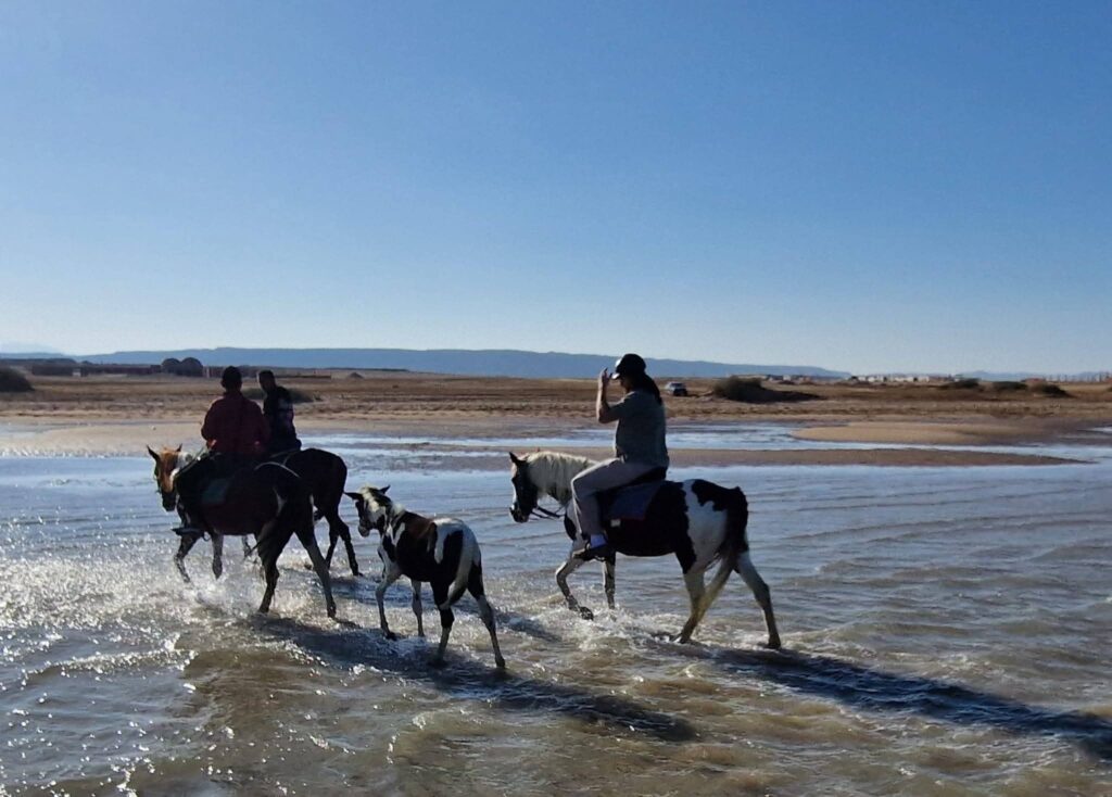 FB_IMG_1774182958604