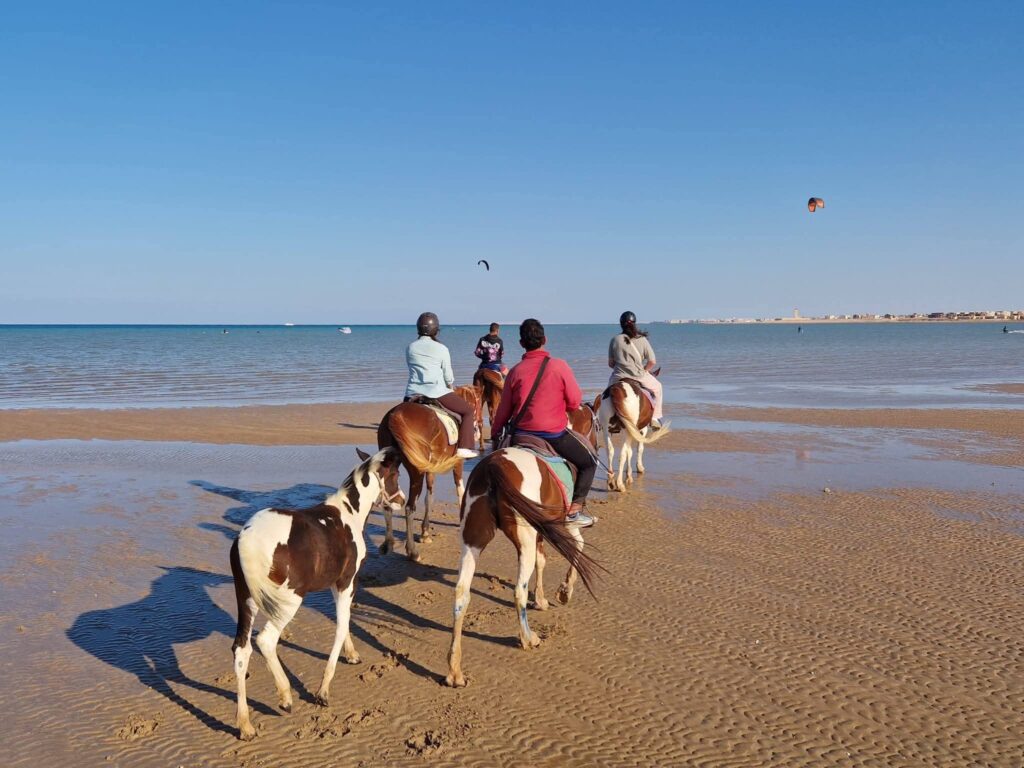 FB_IMG_1774182963533