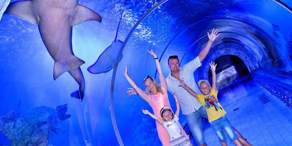 Hurghada Grand Aquariu – Egypt Tours Portal