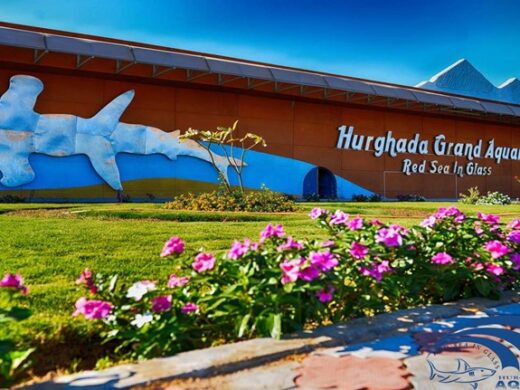 cover_original_e857d_lg