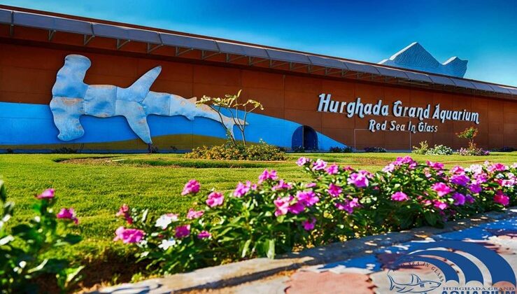 cover_original_e857d_lg