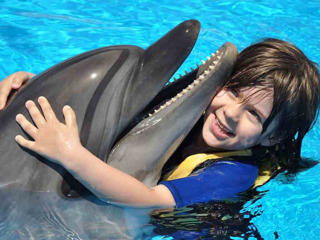 dolphin-swimming-tour_lg