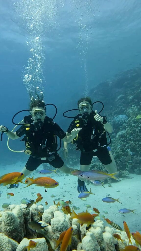 edf9bd80a67ecb542794406b1981b28c