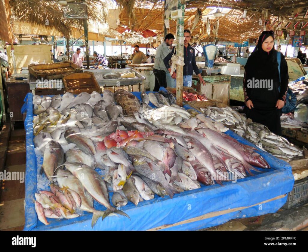 fish-market-hurghada-egypt-2PMRKFC