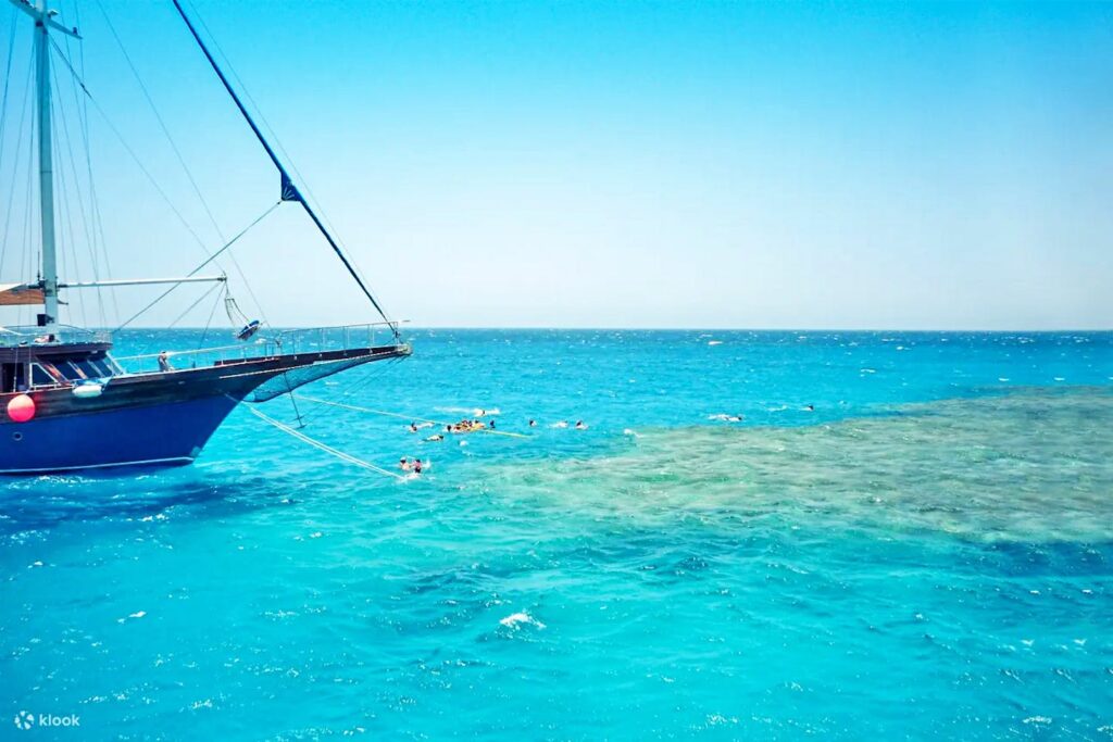 thumb_16755790_cover_header