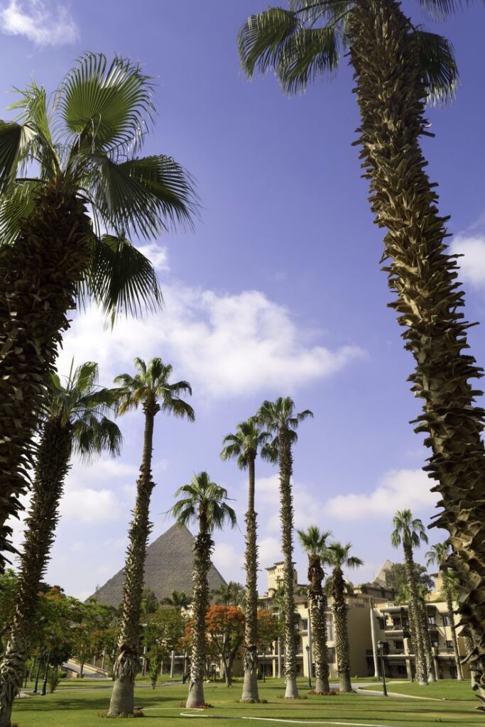 5855bf2d63dca6662cb4d1f04aeff76f